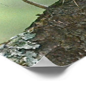 Poster eekhoorn (Hoek)