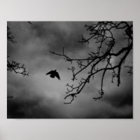 Eerie Bird en vol