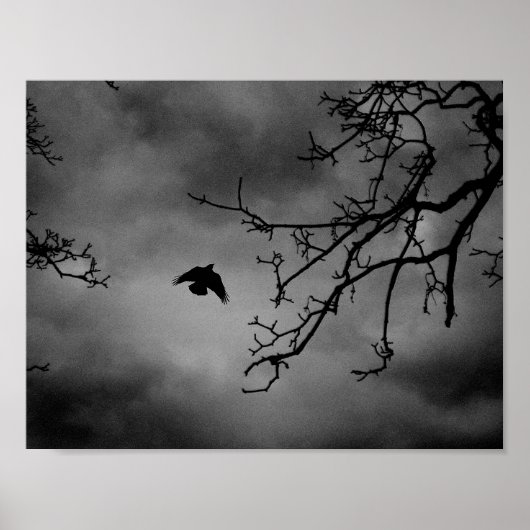 Poster Eerie Bird en vol (Devant)