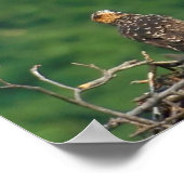 Poster Effacer la piste (Coin)