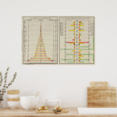 Poster Effectifs scolaires et population de 1890 (Cuisine)