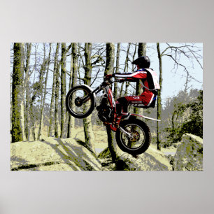 Poster-effectrapportage Poster