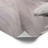 Poster Effet de dessin de portrait de flamant rose Art (Coin)