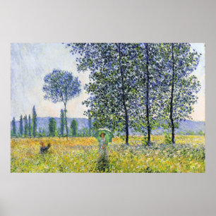 Poster Effet de lumière du soleil sous les peupliers