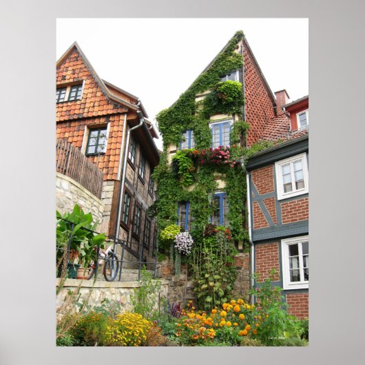 Poster effet maison verte (Devant)