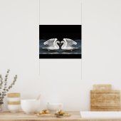 Poster Effet miroir photo du cygne blanc muet (Cuisine)