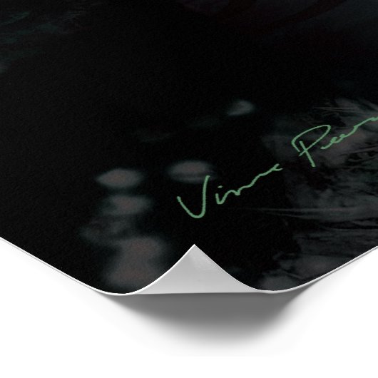 Poster effet papillon 2 (plus foncé) (Coin)