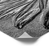 Poster Effet sculpté Black Eyed Susan Flower Art (Coin)