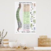 Poster Effets de la subbluxation de la colonne vertébrale (Cuisine)