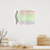 Poster Effets de la subbluxe spinale en français (Cuisine)