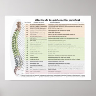 Poster Effets espagnols de la subbluxation spinale Chirop