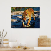 Poster Effets individuels Animaux 2 cmyk (Cuisine)
