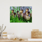 Poster Effets individuels Oiseaux 11 (Cuisine)