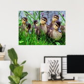 Poster Effets individuels Oiseaux 11 flous (Bureau à domicile)