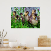 Poster Effets individuels Oiseaux 11 flous (Cuisine)