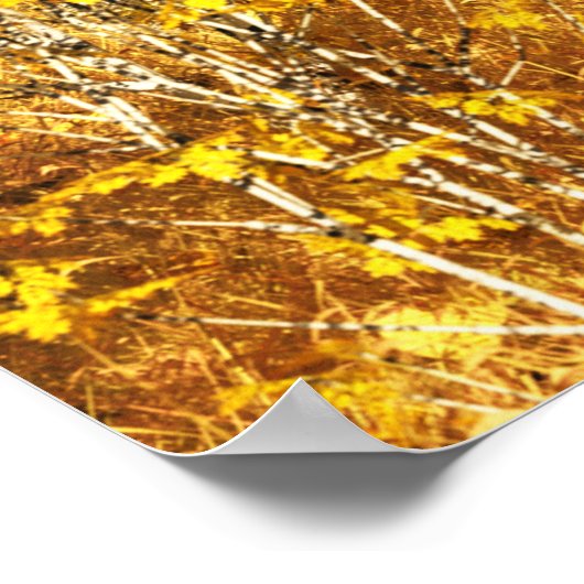 Poster Effondrement de l'impression lumineuse (Coin)