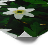 Poster Effort minimal, refroidissement maximal. Anti-moti (Coin)