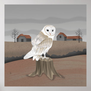 Poster Effraie des clochers