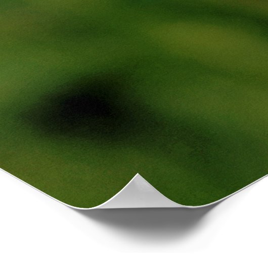 POSTER EFFRAIE DES CLÔTURES (Coin)