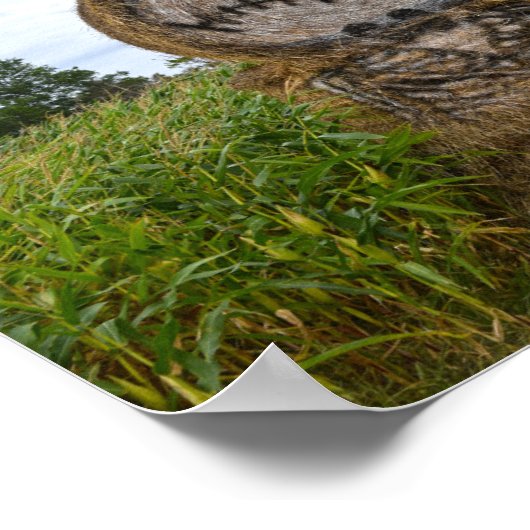 Poster Éffrayant Hay Bale (Coin)