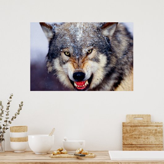 Poster effrayant Wolf (Cuisine)