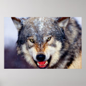 Poster effrayant Wolf (Devant)