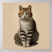 Poster Egée - Portrait de chat (Devant)