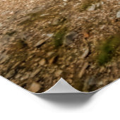 Poster Église Croagh Patrick (Coin)