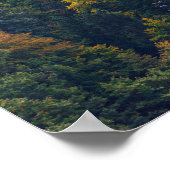 Poster Eglise dans une forêt tropicale en Slovénie (Coin)