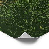 Poster Église de la Panayie (Coin)