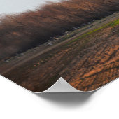 Poster Église du Kentucky au début de la matinée (Coin)