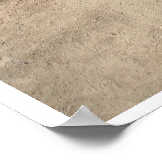 Poster Église Saint François d'Assise III (Coin)