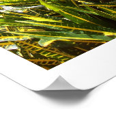 Poster Église Saint-Jean (Coin)