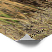 Poster - Egret in gras (Hoek)