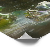 Poster Egret with Turtles (Coin)