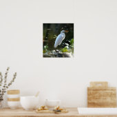 Poster Egret with Turtles (Cuisine)