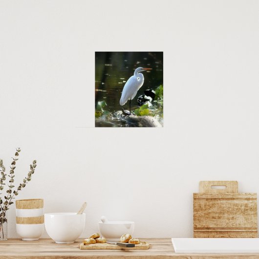 Poster Egret with Turtles (Cuisine)