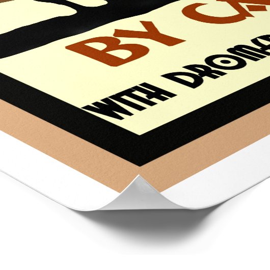 Poster Egypte (Coin)