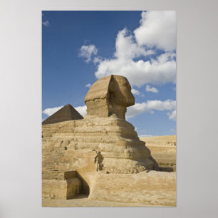 Poster Egypte, Gizeh. Le grand Sphynx s'élève au-dessus d