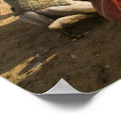 Poster Egypte, Le Caire. Repose des chameaux (Coin)