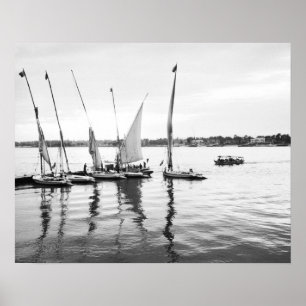 Poster Egypte luxueuse, Feluccas sur le Nil