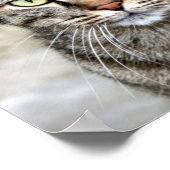 Poster égyptien de chat (Coin)