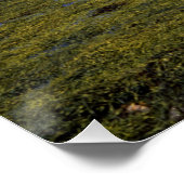 Poster Eilean Donan Castle Scotland (Coin)