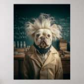 Poster Einstein Pup in Lab Coat (Devant)