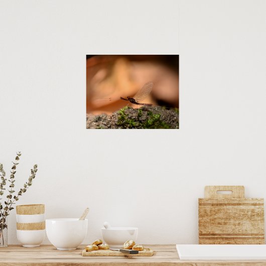 Poster Eintagsfliege (Cuisine)