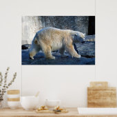 Poster Eisbaer (Cuisine)