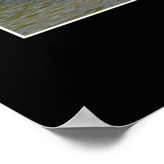 Poster Eisenhower State Park Texas (Coin)