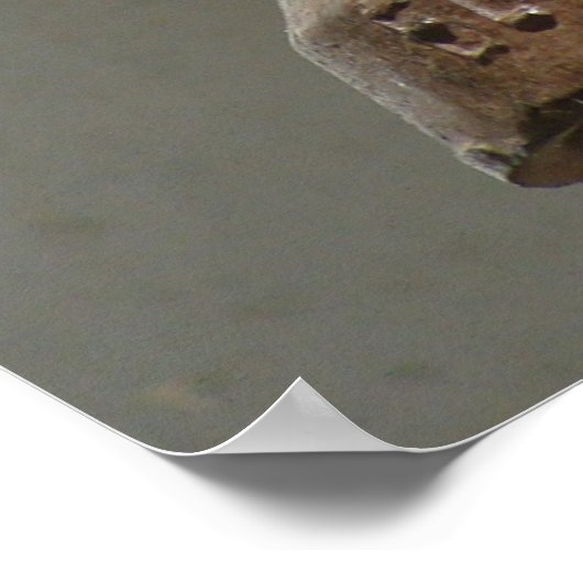 Poster El Camino Real Bell (Coin)