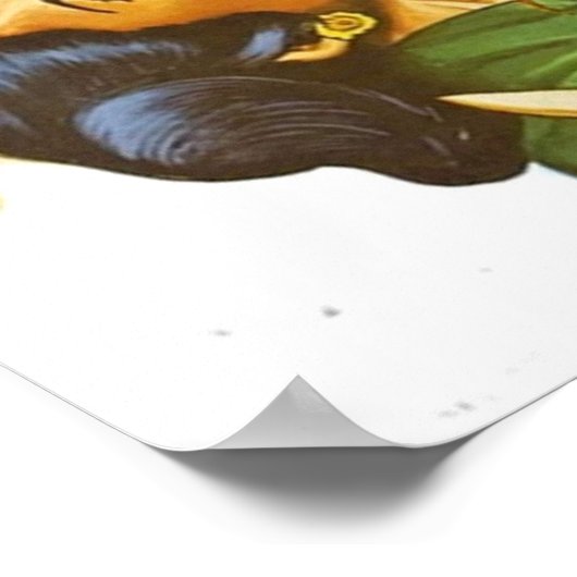 Poster El Charro De Las Calaveras (Coin)