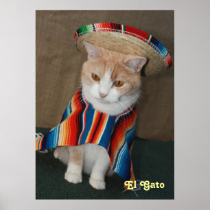 Poster El Gato